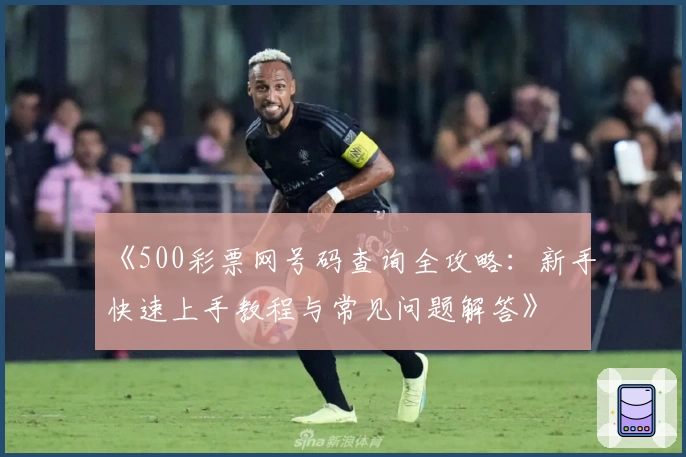 《500彩票网号码查询全攻略：新手快速上手教程与常见问题解答》