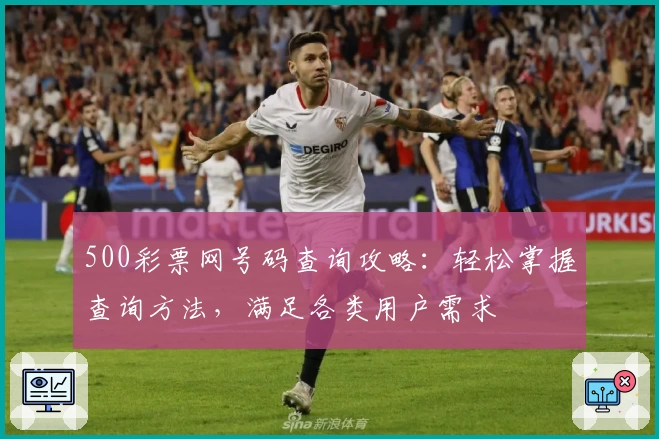 500彩票网号码查询攻略：轻松掌握查询方法，满足各类用户需求
