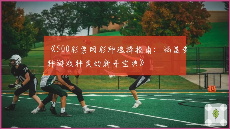《500彩票网彩种选择指南：涵盖多种游戏种类的新手宝典》