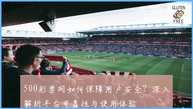 500彩票网如何保障用户安全？深入解析平台可靠性与使用体验