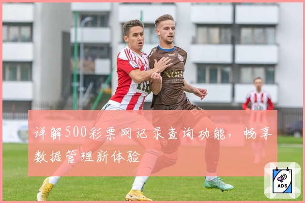 详解500彩票网记录查询功能，畅享数据管理新体验
