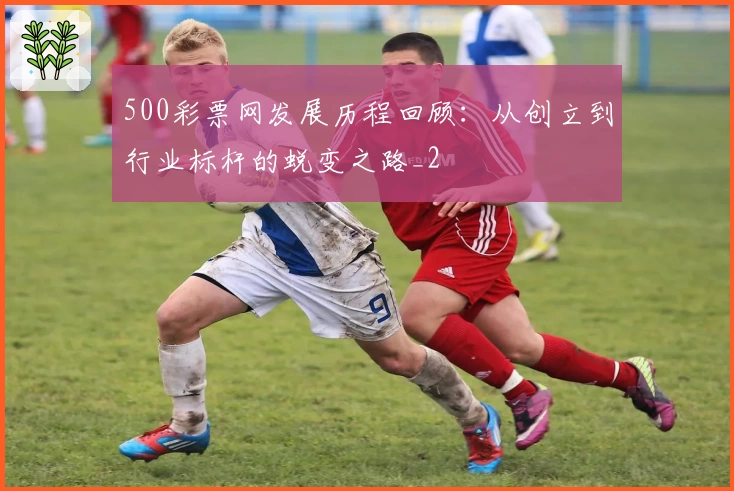 500彩票网发展历程回顾：从创立到行业标杆的蜕变之路_2