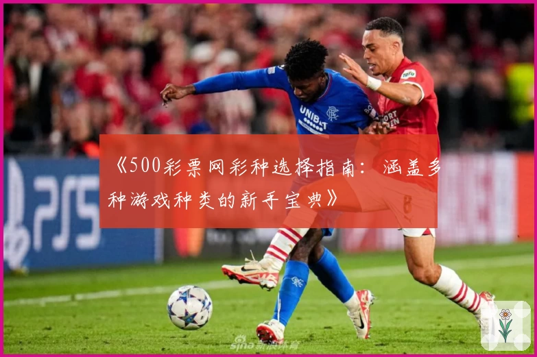 《500彩票网彩种选择指南:涵盖多种游戏种类的新手宝典》