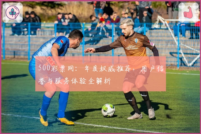 500彩票网：年度权威推荐，用户信誉与服务体验全解析