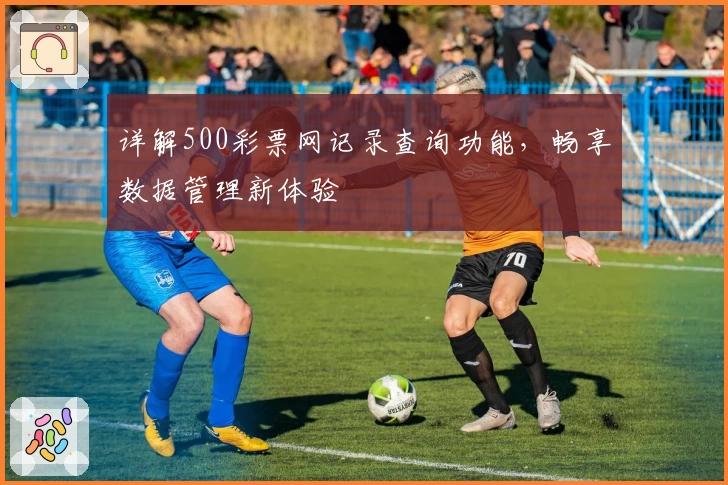 详解500彩票网记录查询功能，畅享数据管理新体验